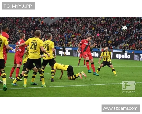 足球穆迪：探索足球世界的魅力与激情，揭示运动背后的故事与精神