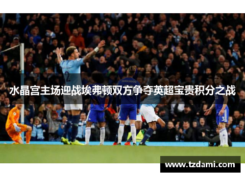 水晶宫主场迎战埃弗顿双方争夺英超宝贵积分之战